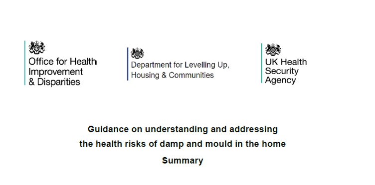 Guidance on understanding and addressing the health risks of damp and mould in the home